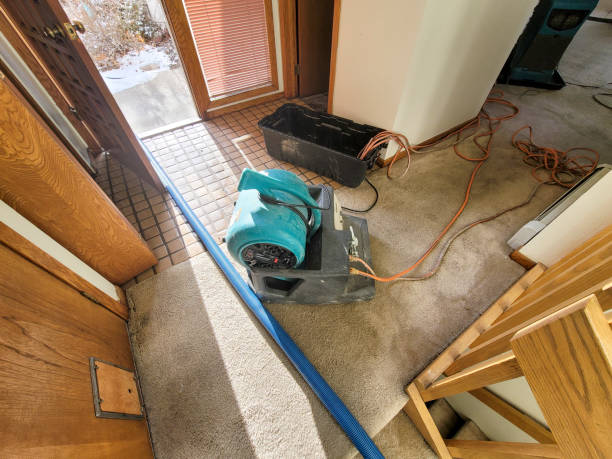 Best Water damage repair service  in Lynchburg, OH