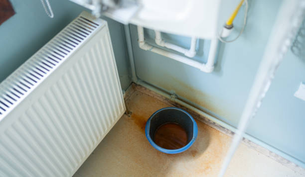 Best Mold removal after water damage  in Lynchburg, OH